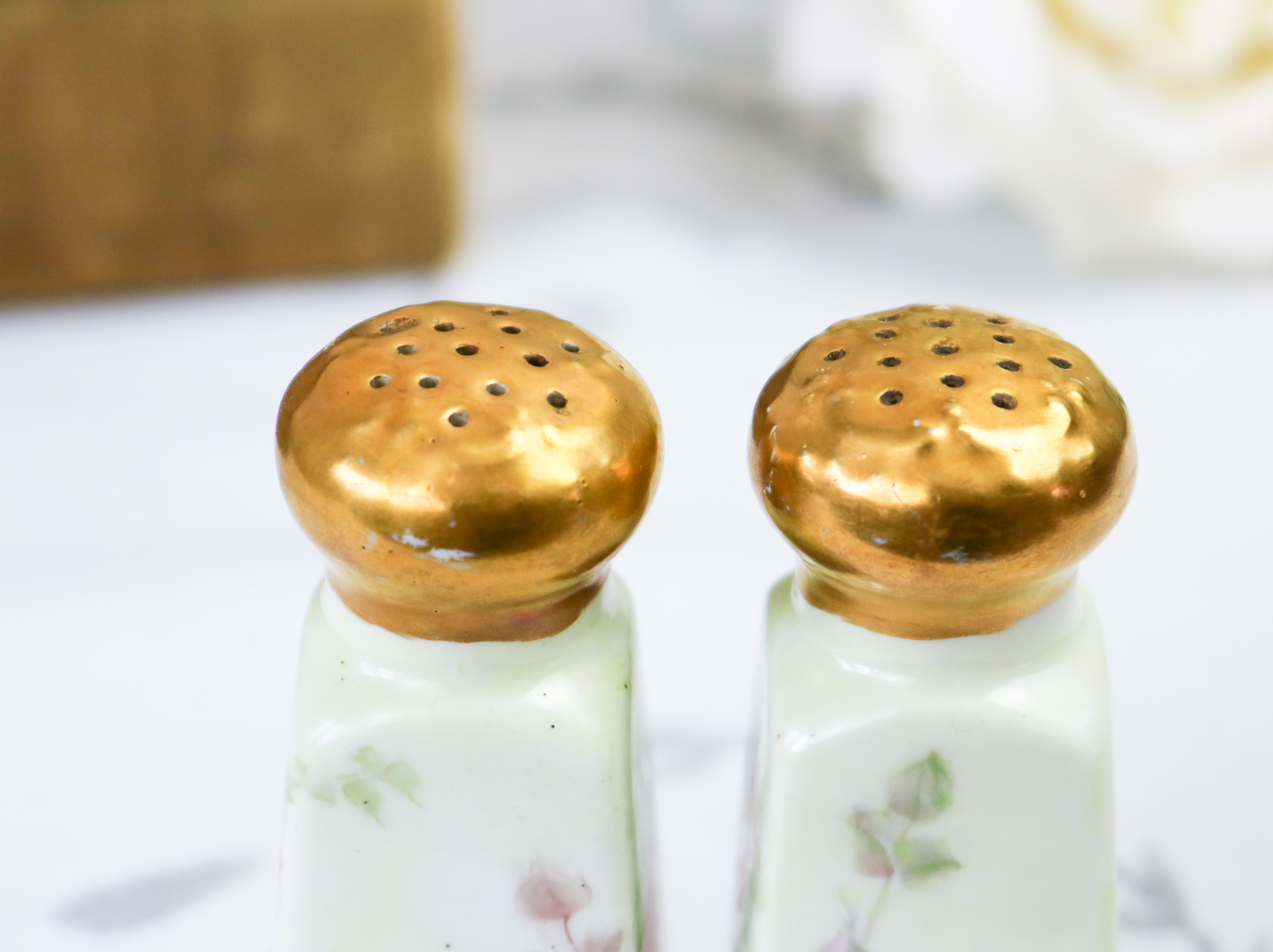 Limoges Hand Painted Salt And Pepper Shakers The Teacup Attic