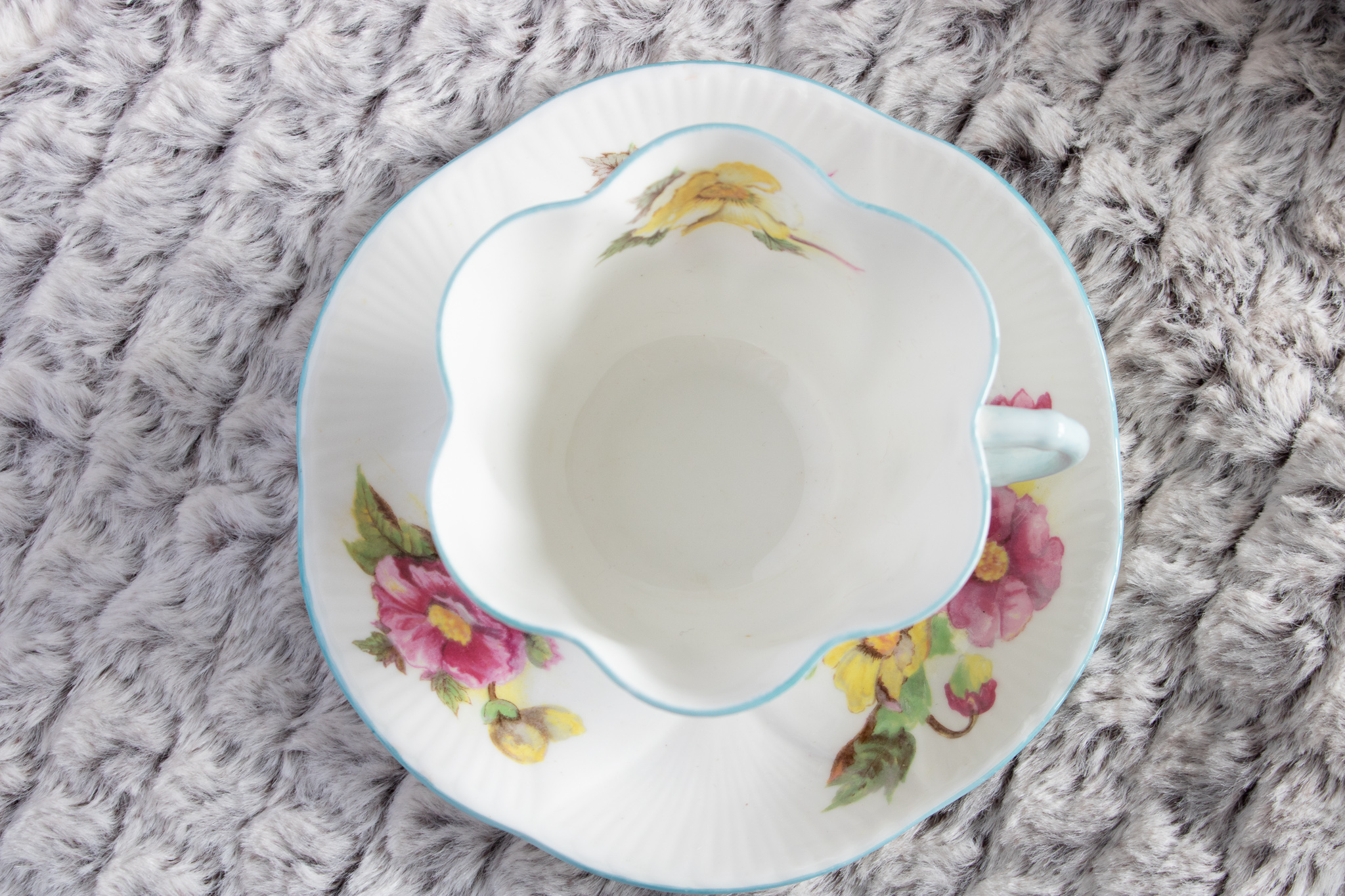 Shelley Begonia Teacup And Saucer The Teacup Attic