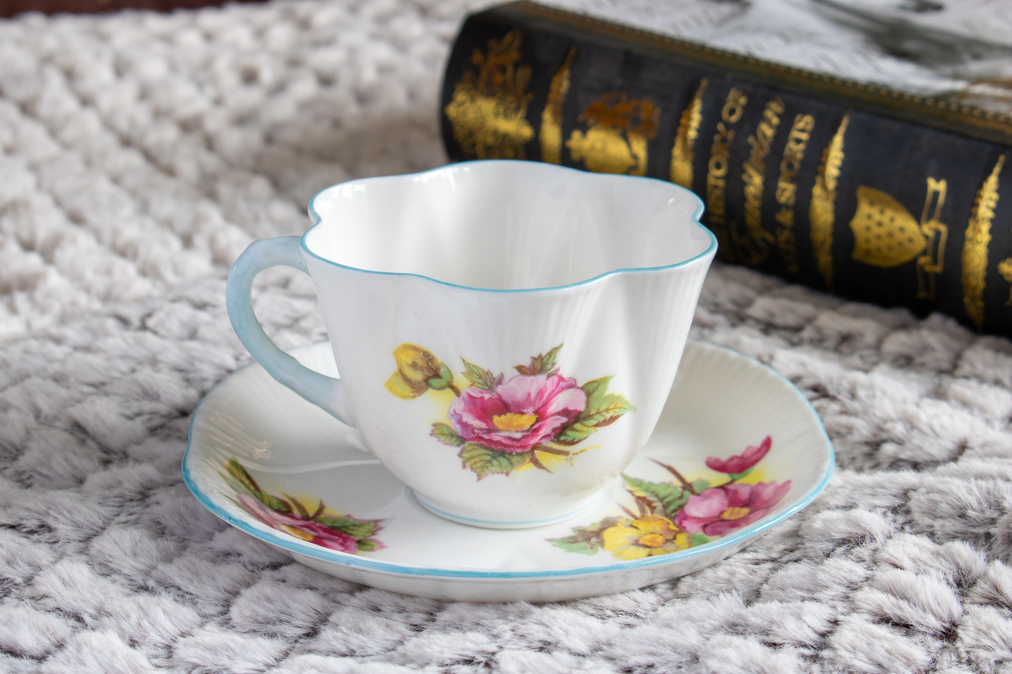 Shelley Begonia Teacup And Saucer The Teacup Attic