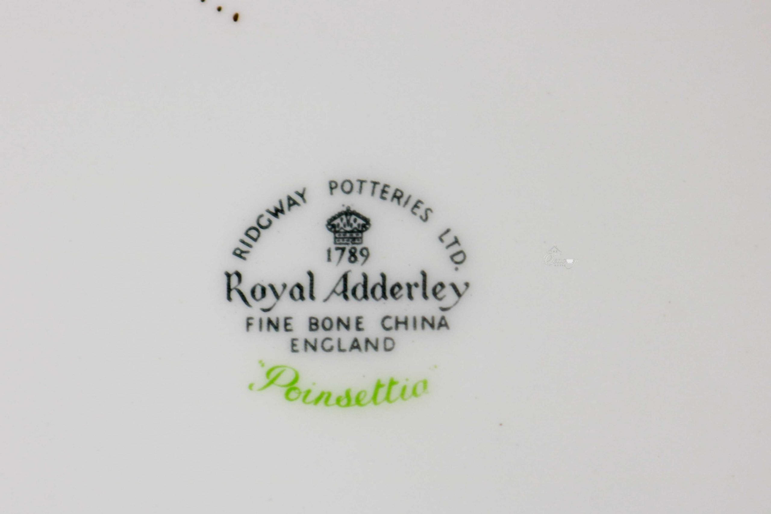 Royal Adderley Poinsettia Salad Plate The Teacup Attic