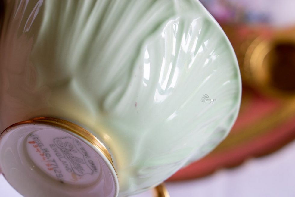Shelley Pale Green Oleander Teacup and Saucer The Teacup Attic